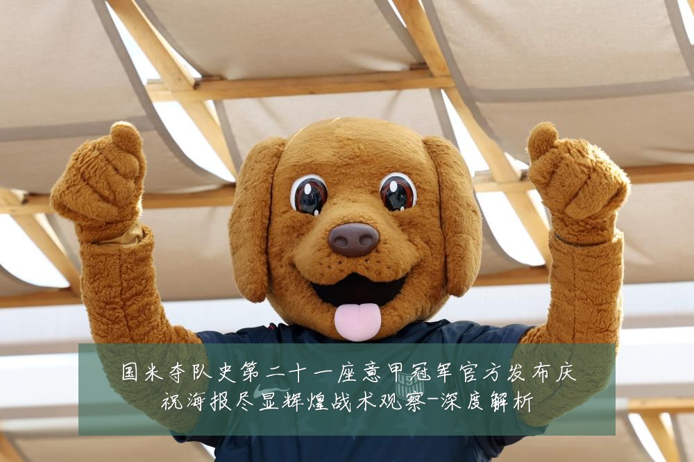国米夺队史第二十一座意甲冠军官方发布庆祝海报尽显辉煌战术观察-深度解析